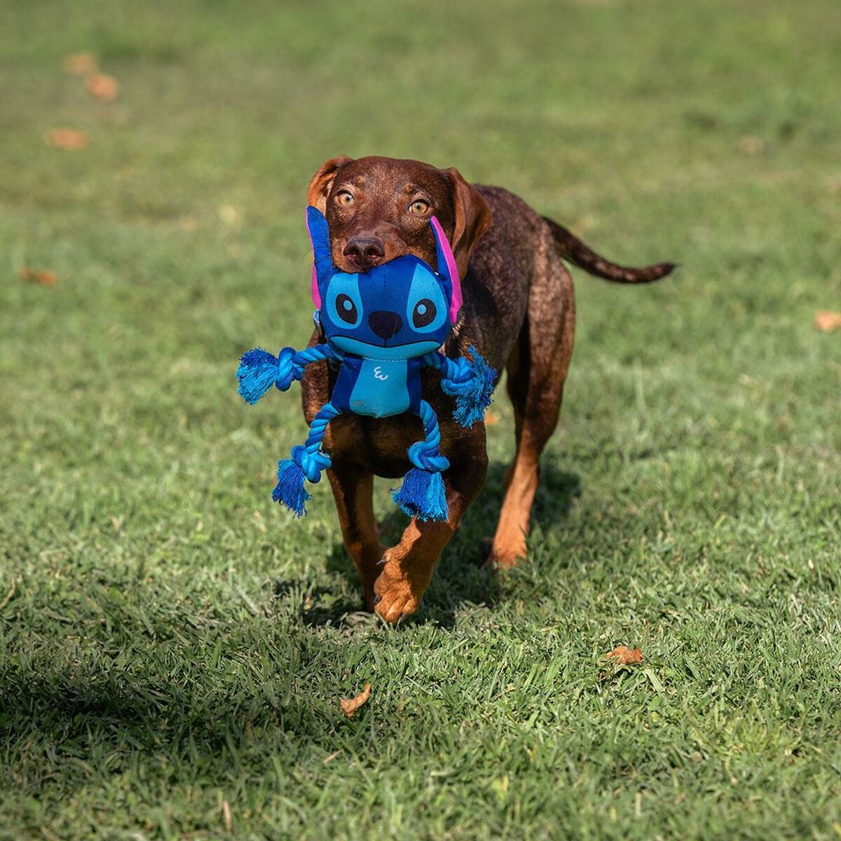 Jucărie pentru câini Stitch