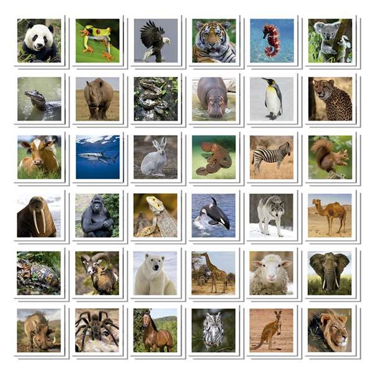 Joc de Memorie Educa Identic Memo Animals