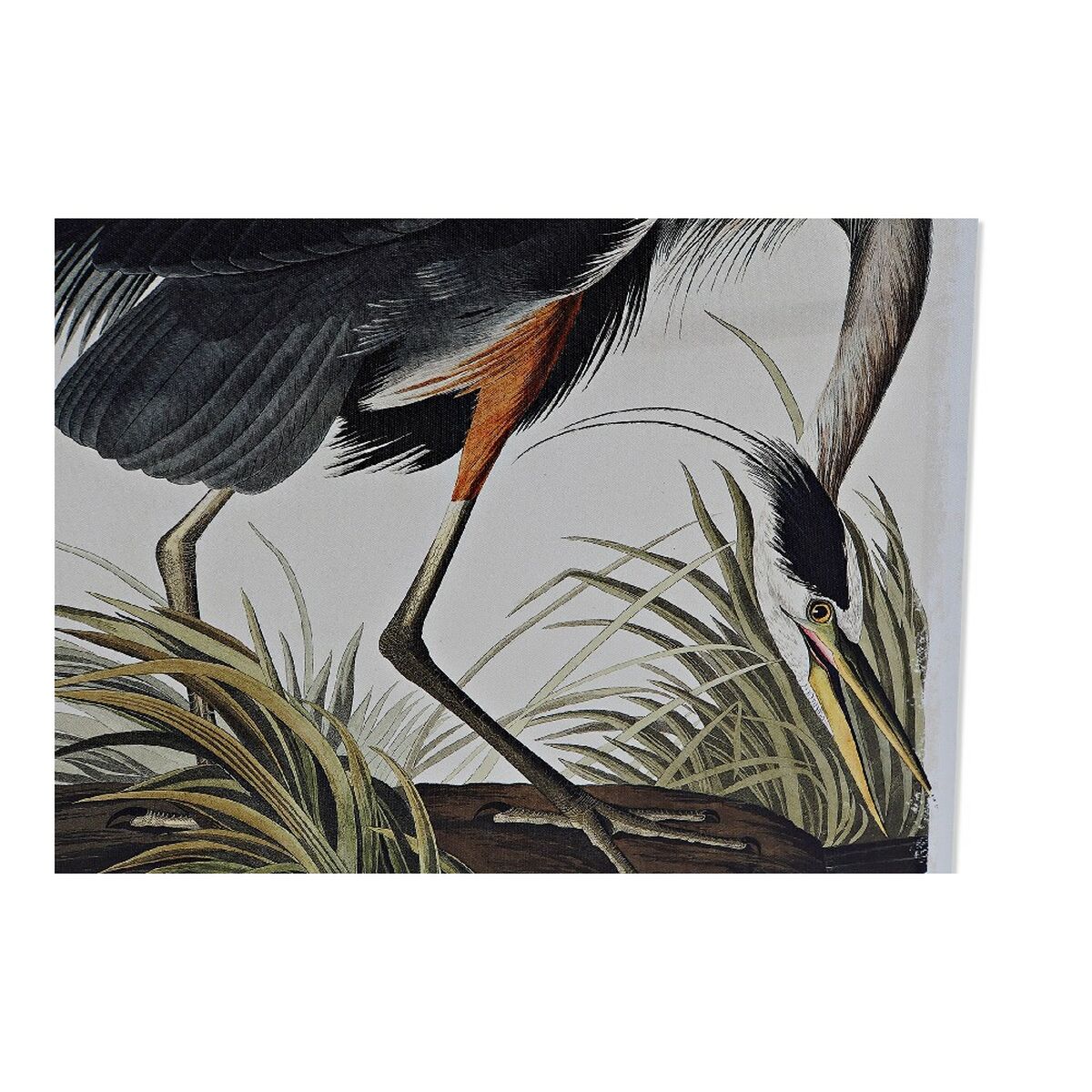 Pânză DKD Home Decor Heron Pin Pânză 50 x 1,8 x 70 cm