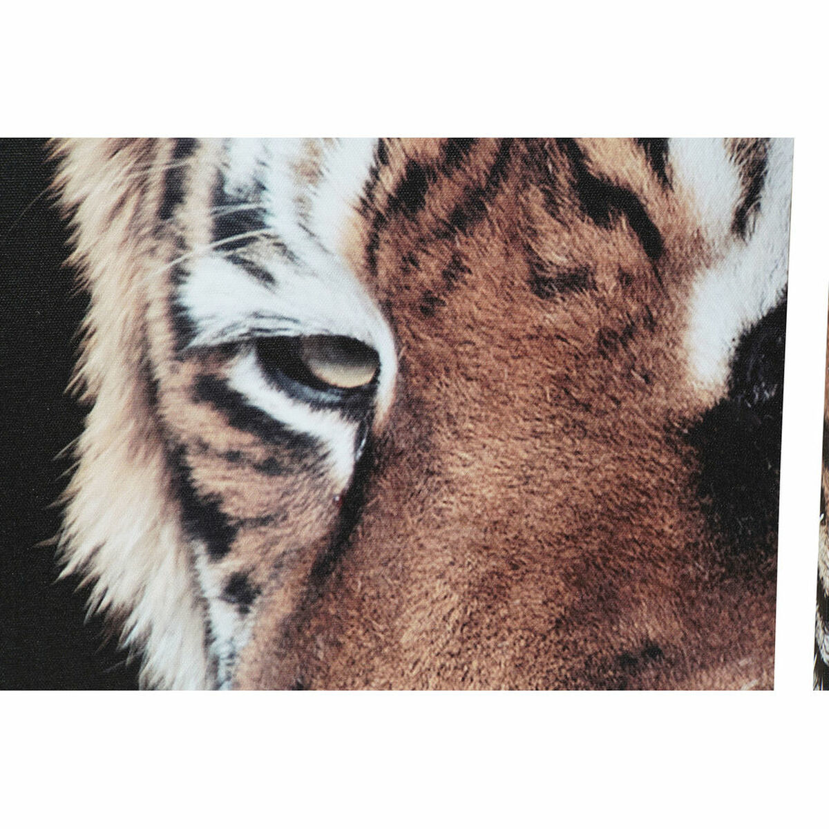 Pânză DKD Home Decor Pin Pânză 150 x 2 x 80 cm Tigru