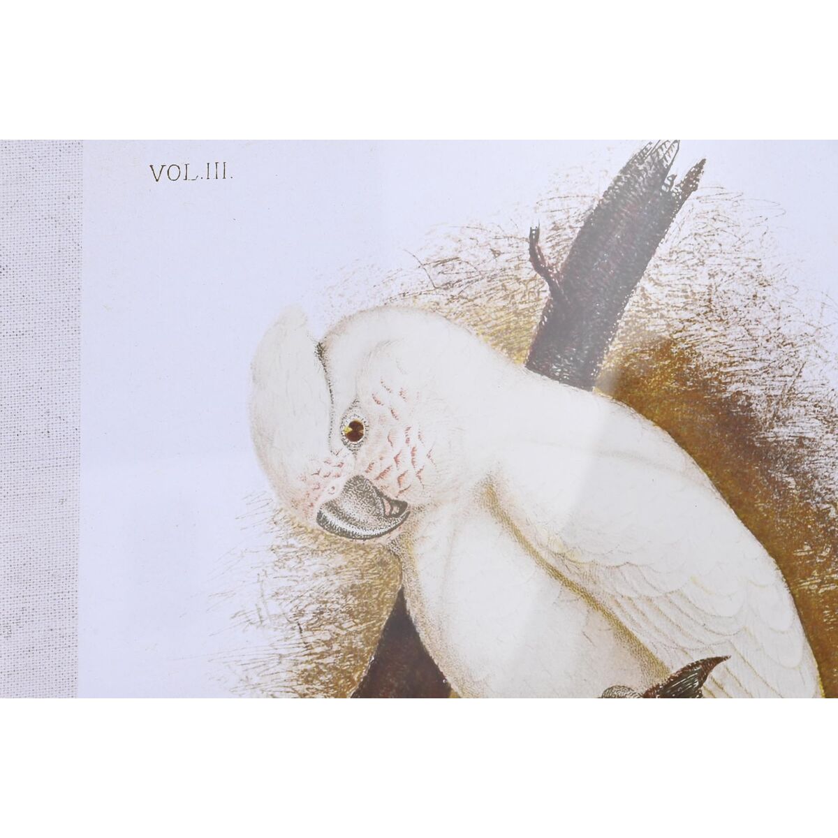 Pânză DKD Home Decor 50 x 2,8 x 65 cm 50 x 65 x 2.8 cm Papagal Cottage (4 Piese)