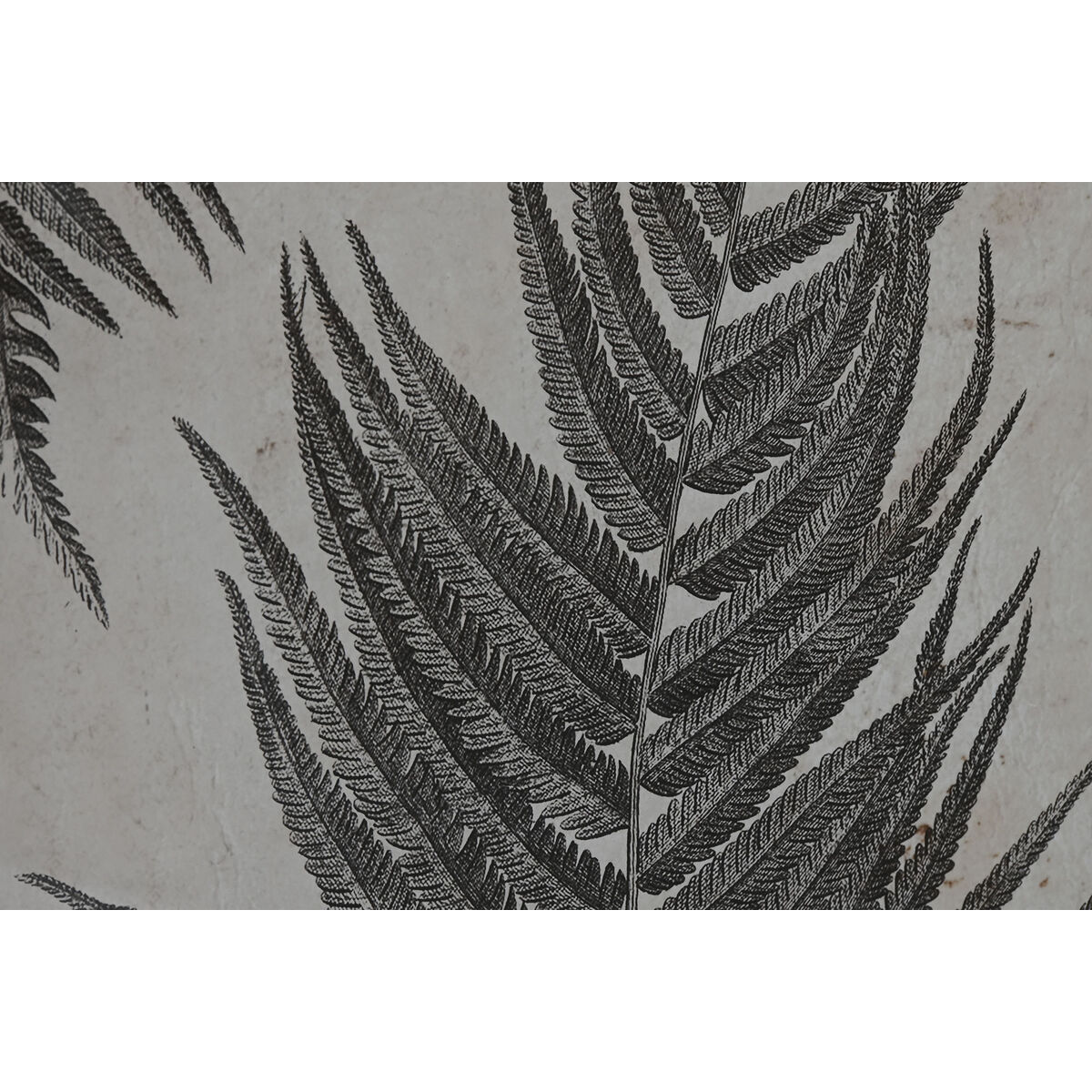 Tablou Home ESPRIT Geam Brad 50 x 3 x 70 cm 50 x 2,5 x 70 cm