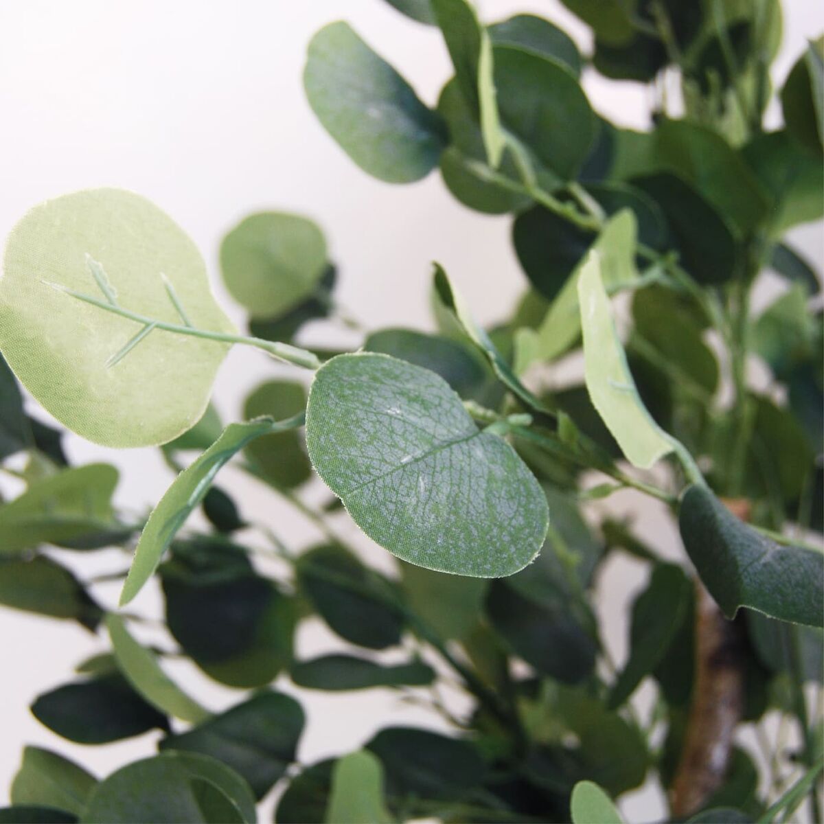 Copac Home ESPRIT Poliester Lemn Цимент Eucalipt 90 x 90 x 180 cm