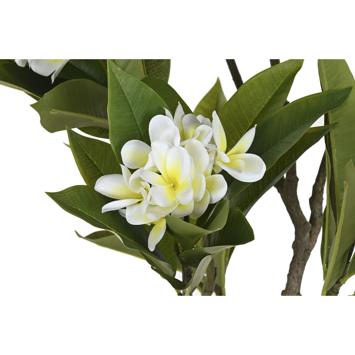 Copac Home ESPRIT Polietilenă 80 x 80 x 150 cm