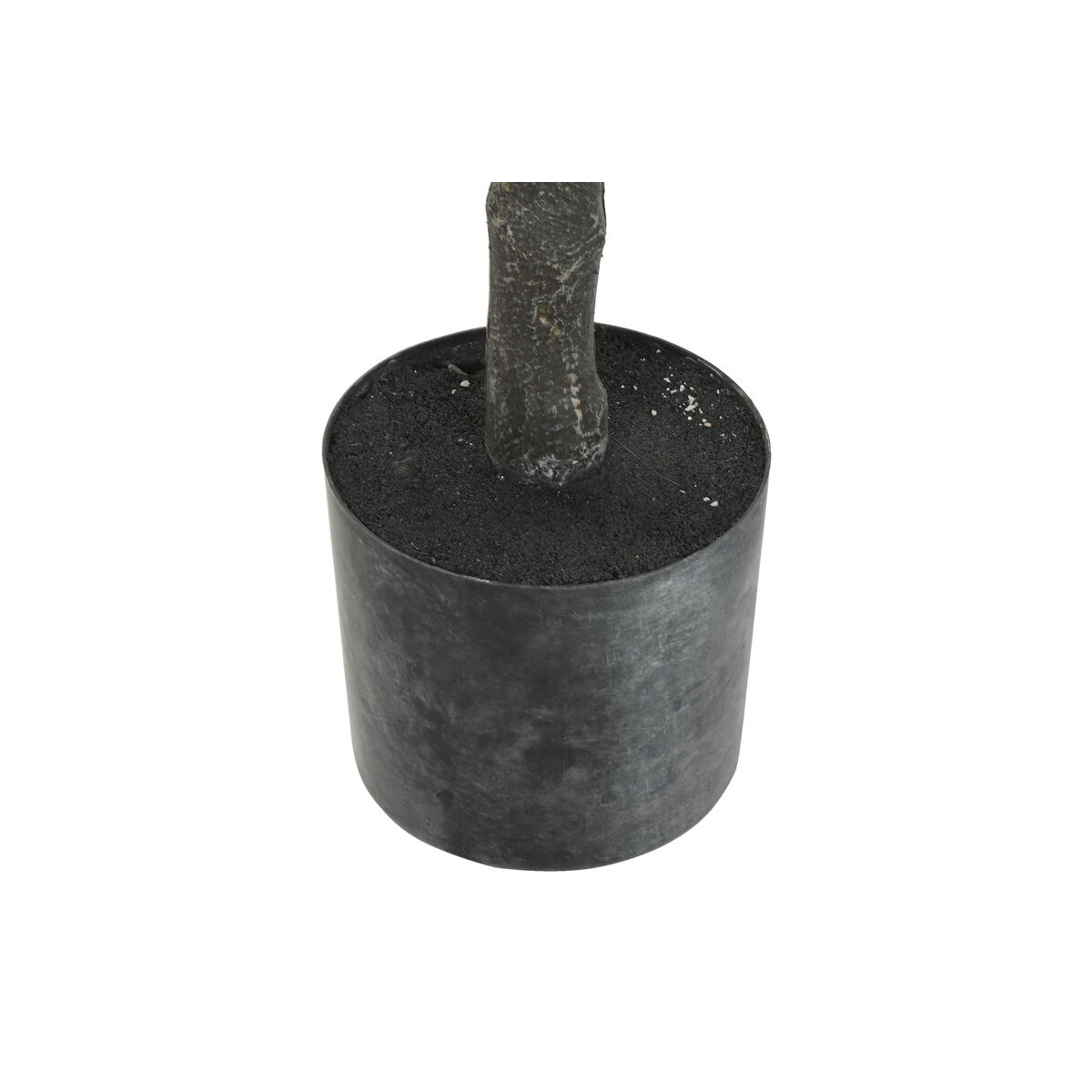 Copac Home ESPRIT Polietilenă Măslin