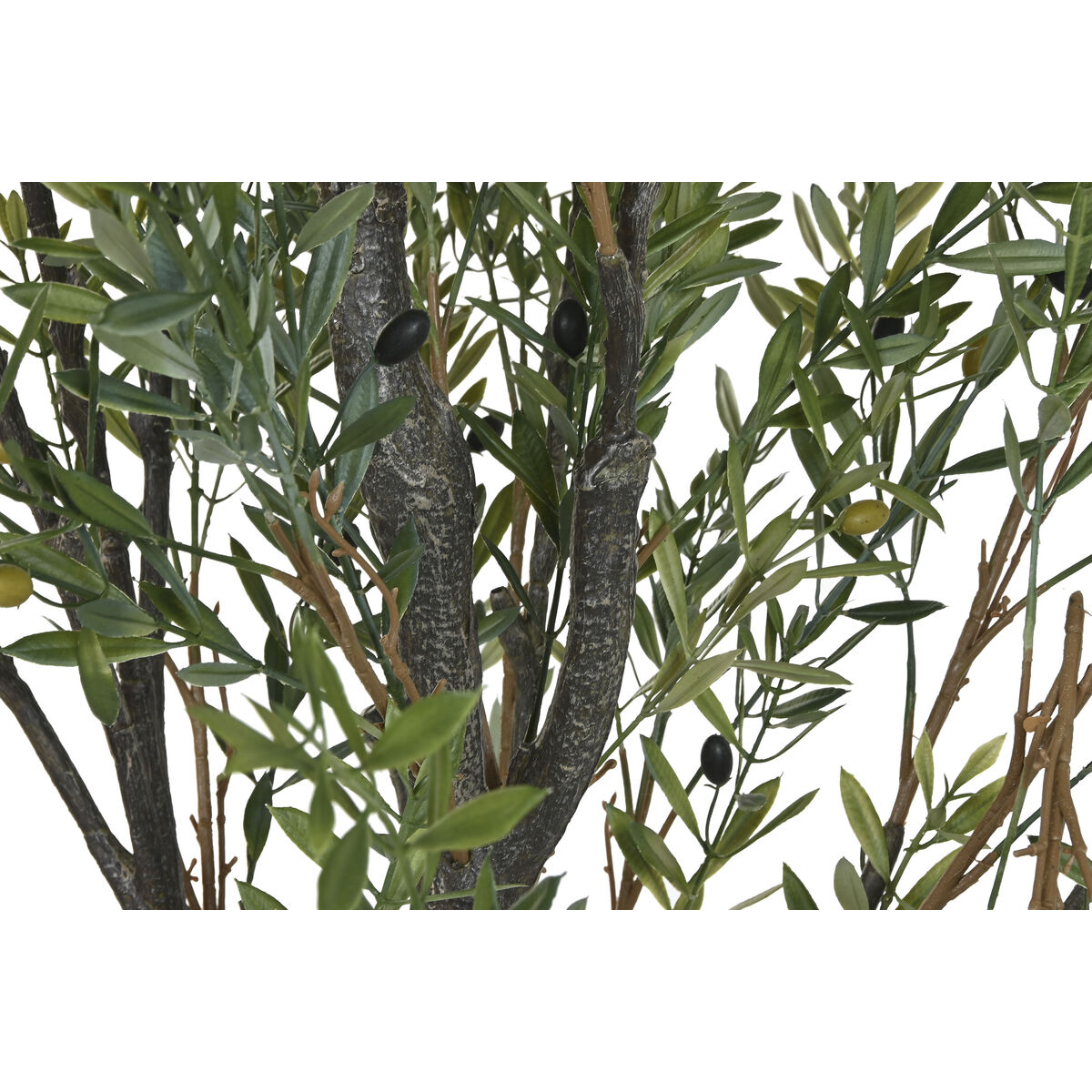 Copac Home ESPRIT Polietilenă Măslin