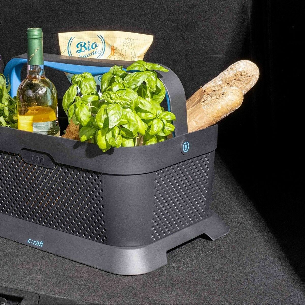 Coș pentru portbagajul mașinii Armster V01762 Albastru Plastic