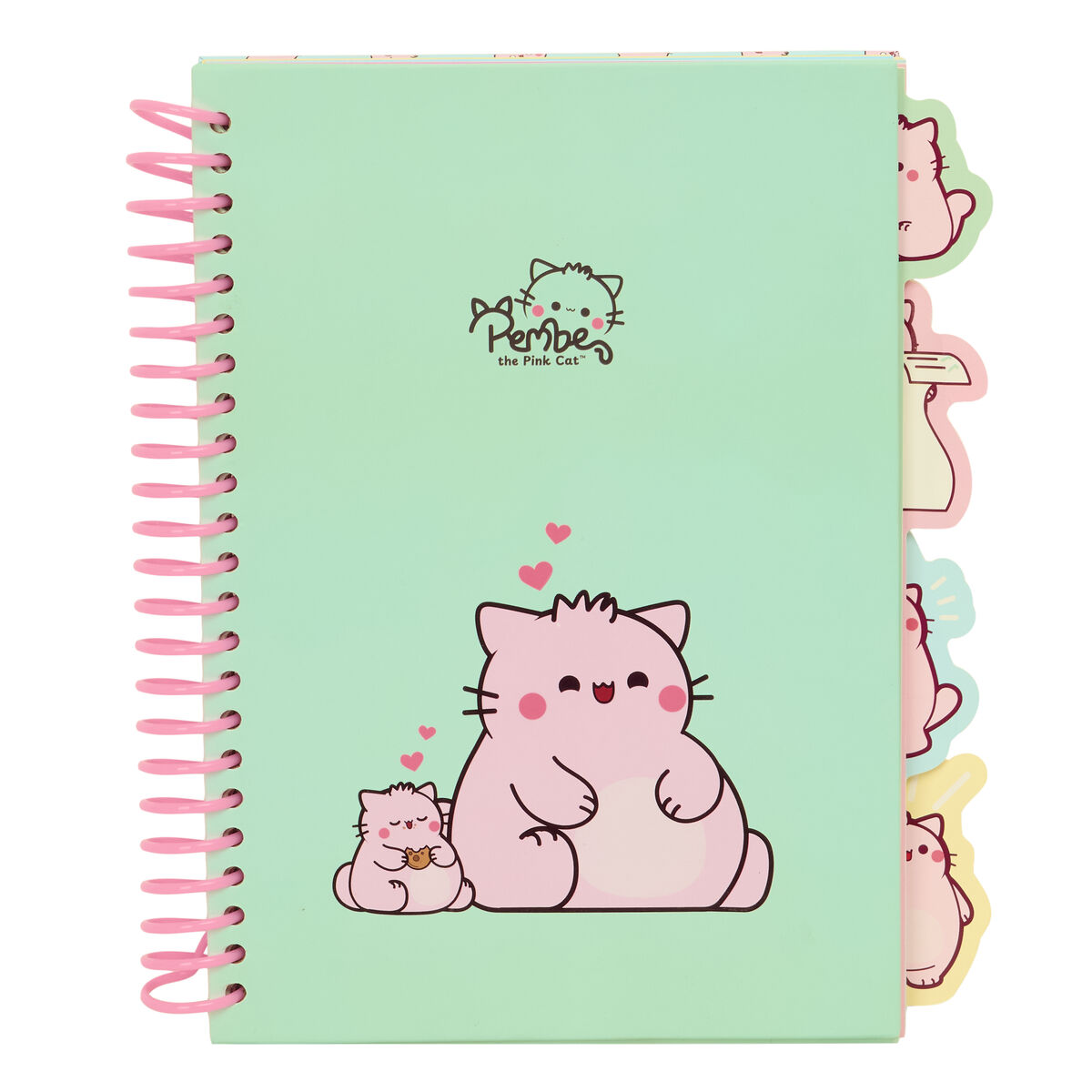 Biblioraft Pembe The pink cat