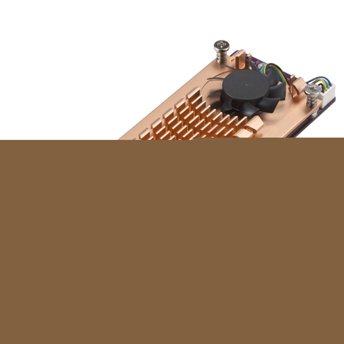 Card de Rețea Qnap QM2-2S-220A