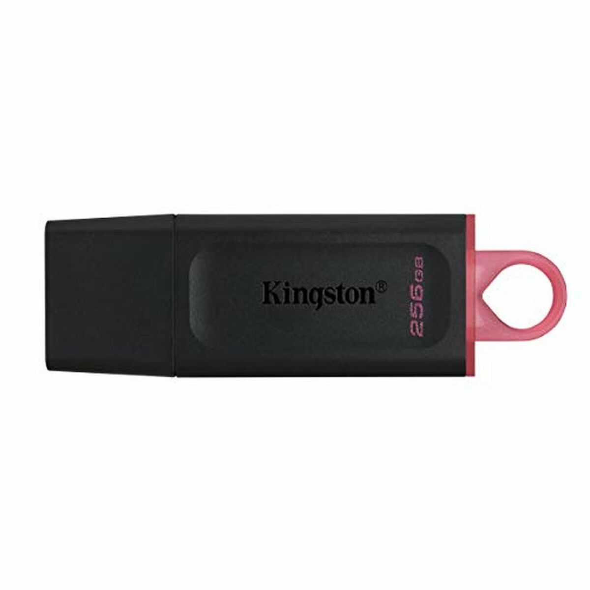Memorie USB Kingston DTX/256GB Breloc Negru 256 GB
