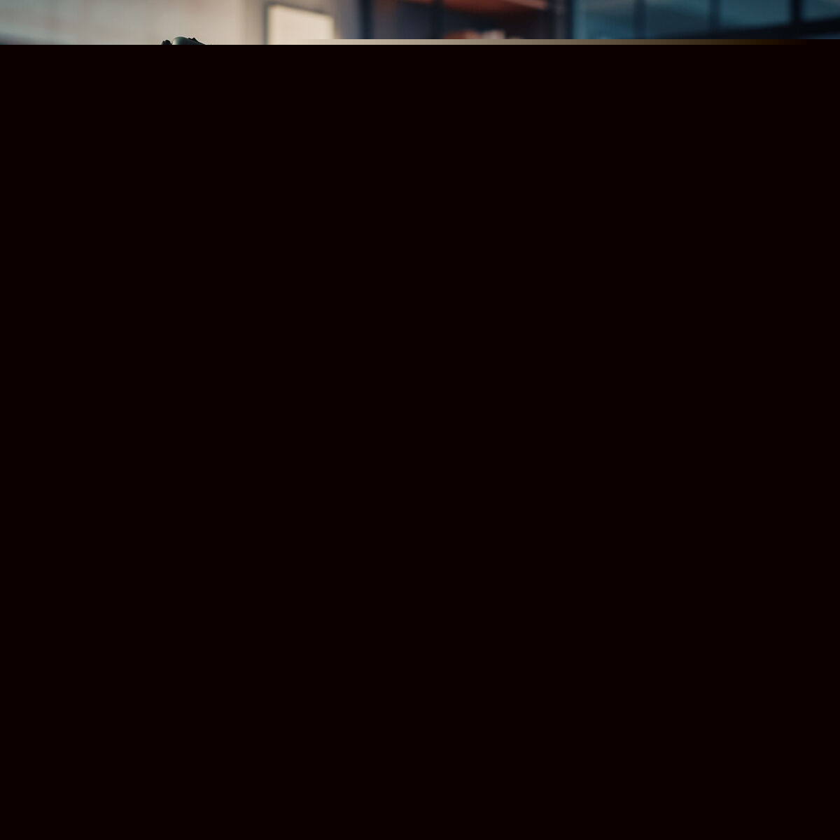 Filtru de Confidențialitate pentru Monitor Startech 2869-PRIVACY-SCREEN