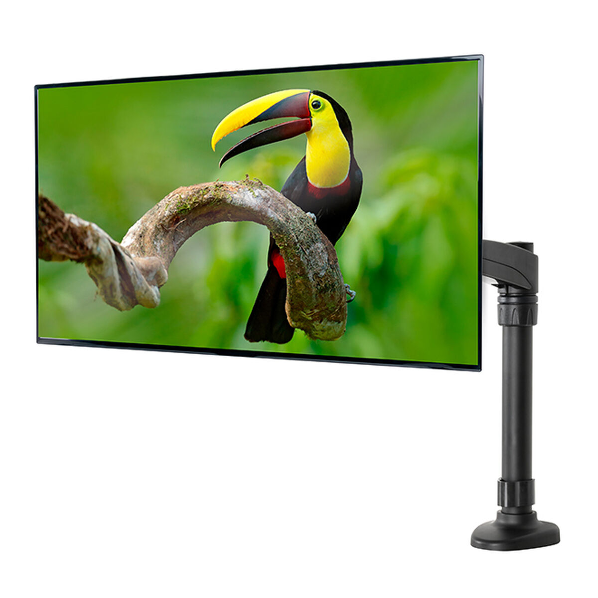 Suport de Masă pentru Ecran B-Tech BT7373/B 28" 10"