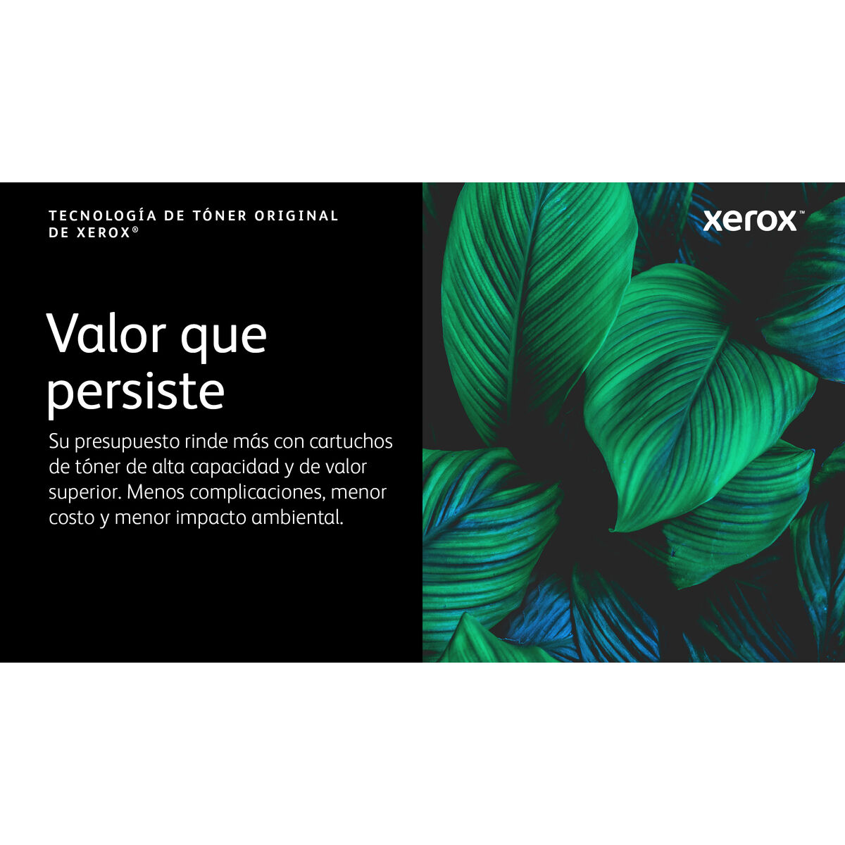 Toner Original Xerox 006R04624 Negru