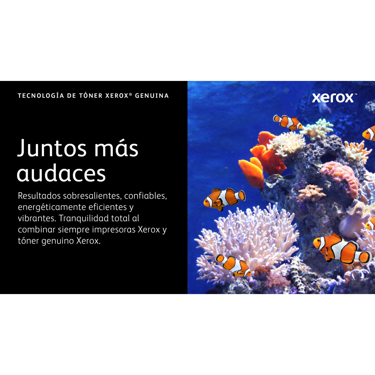 Toner Original Xerox 006R04624 Negru