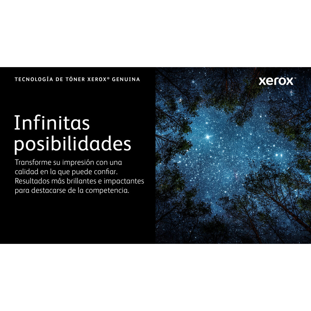 Toner Original Xerox 006R04624 Negru