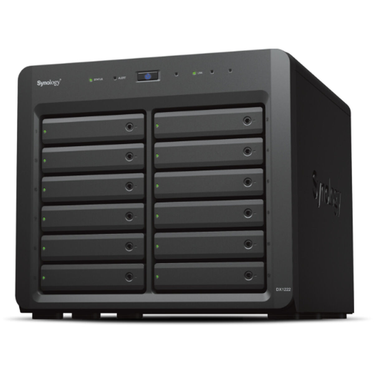 Stocare în Rețea NAS Synology DX1222 Negru