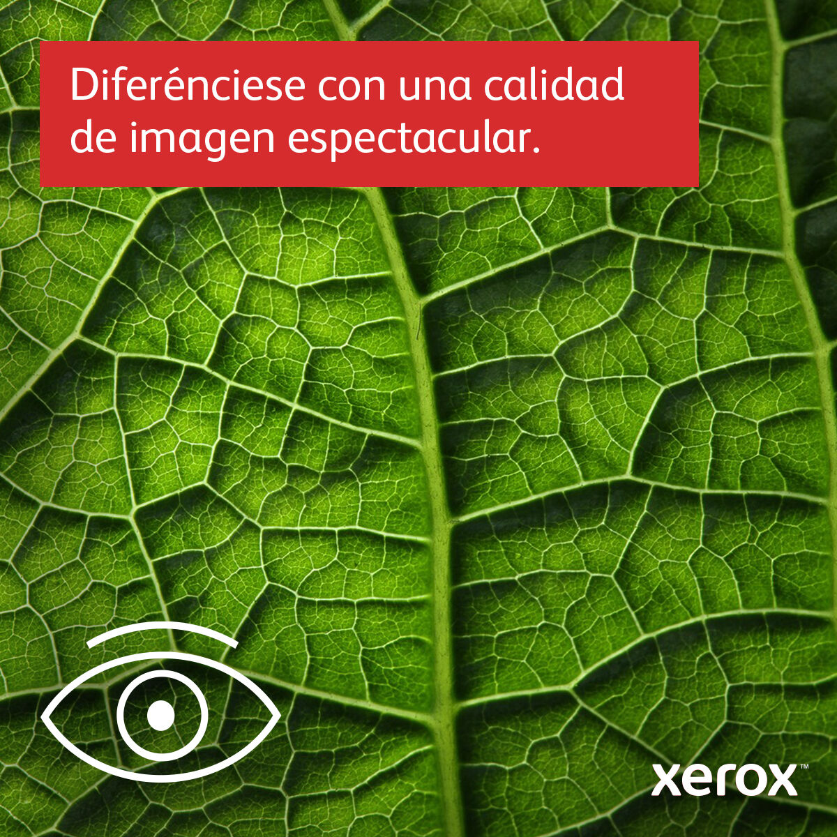 Imprimantă Multifuncțională Xerox B625V_DN
