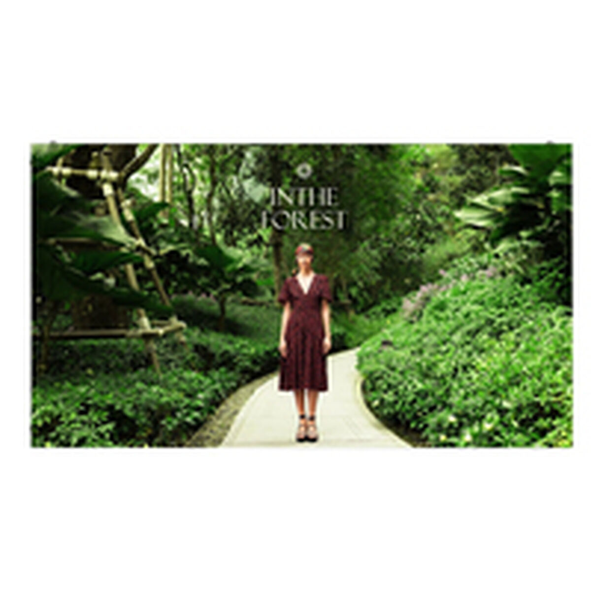 Monitor Videowall LG LED CABINET 1.5 4K Ultra HD