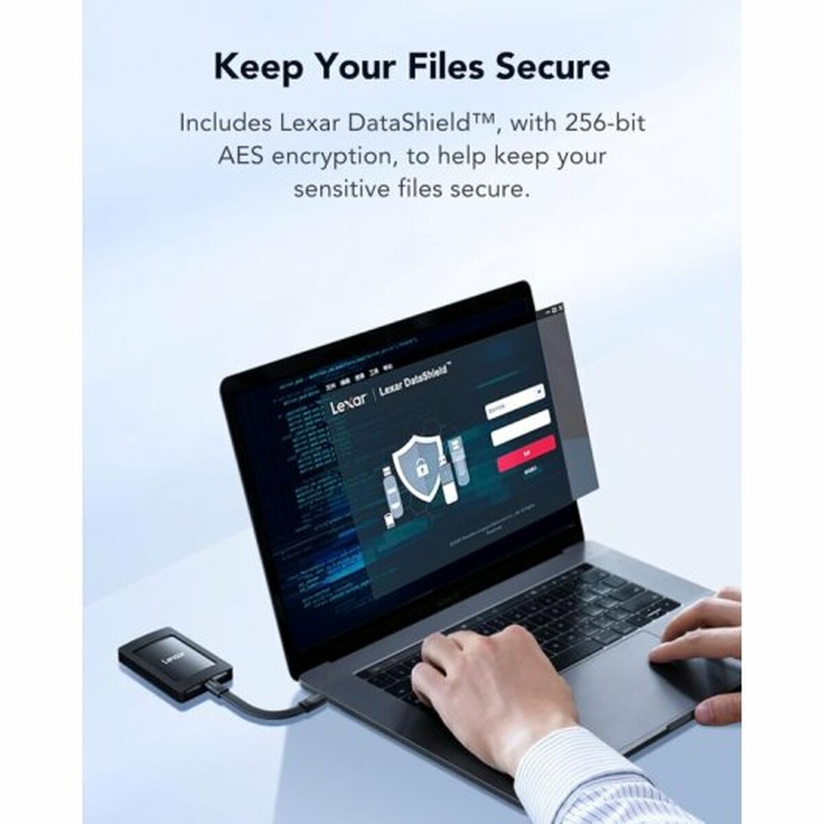 Hard disk Extern Lexar LSL500M001T-RNBNG Negru 1 TB