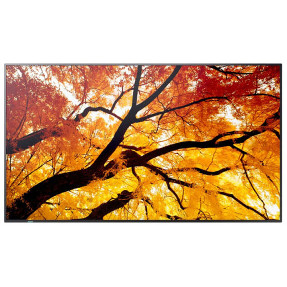 Monitor Videowall Sharp 60006057 4K Ultra HD 74,5"