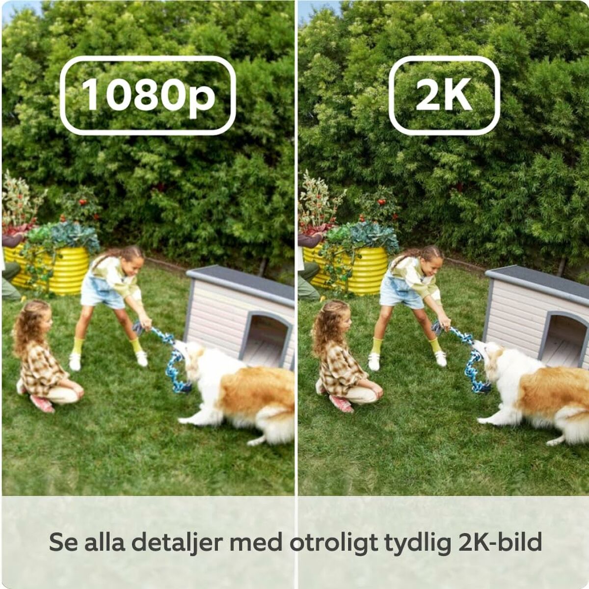 Cameră Video de Supraveghere Amazon B0D23Y1N3Y