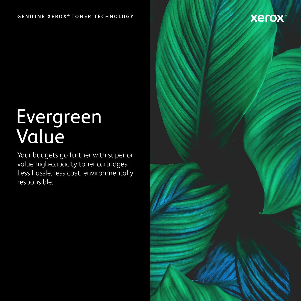 Cartuș cu Cerneală Originală Xerox 116R00039