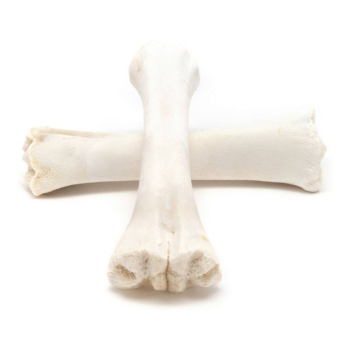 Gustare pentru câini Gloria Vițel Os Calciu 20 Unități