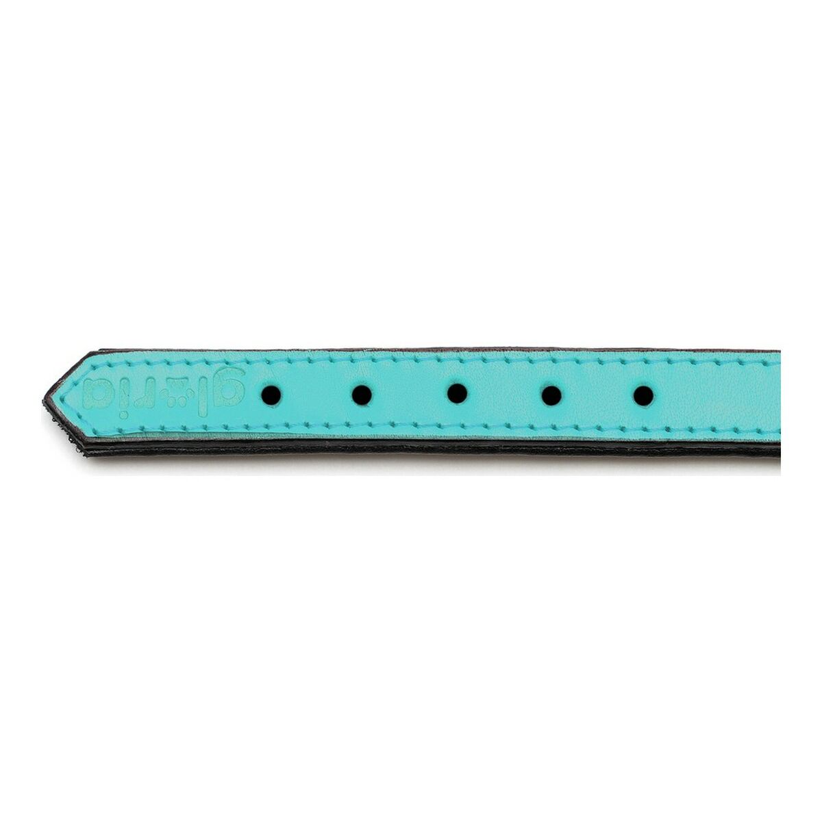 Zgardă pentru câini Gloria Căptușit Turquoise (30 x 1,5 cm)