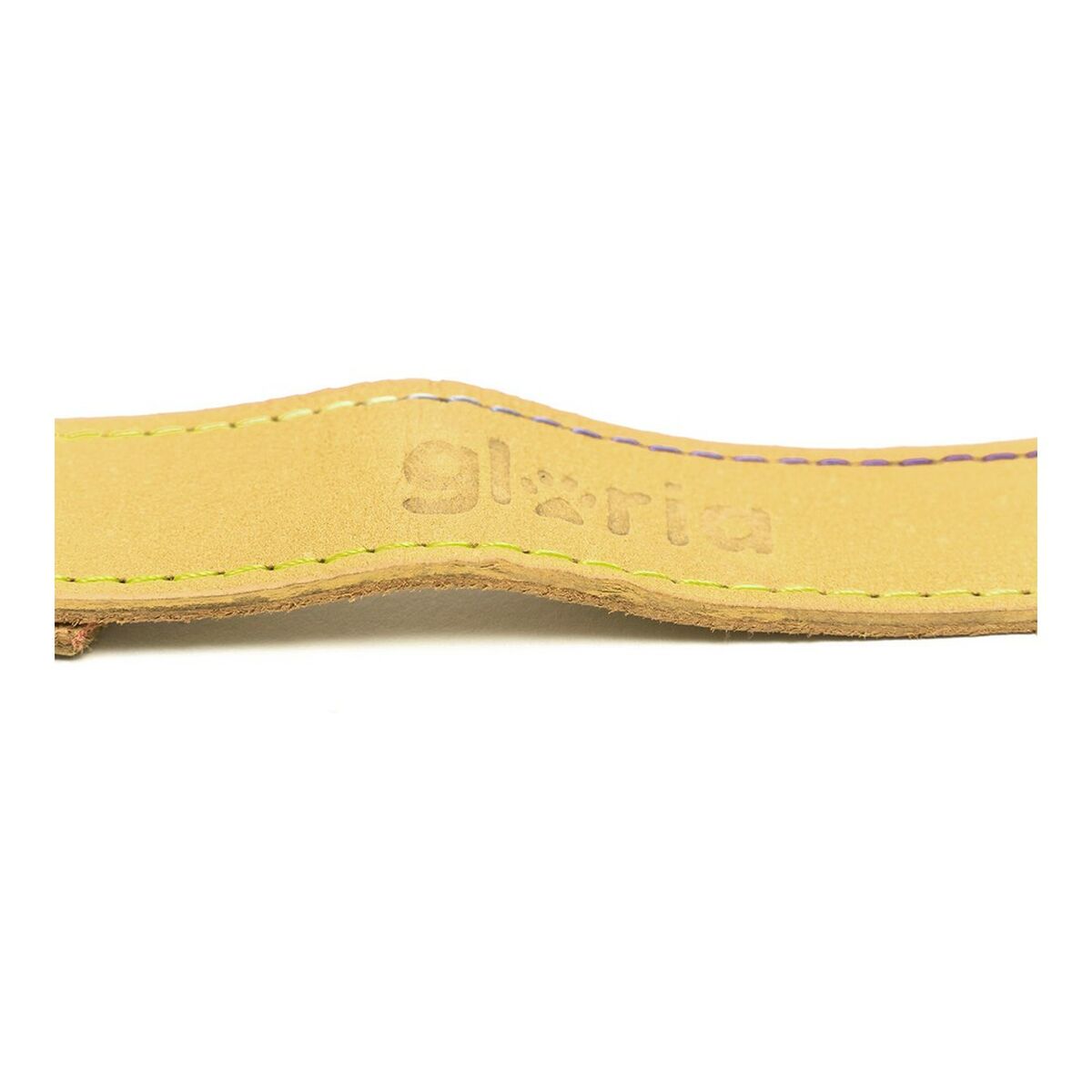 Lesă pentru câine Gloria Oasis 3 x 60 cm Galben