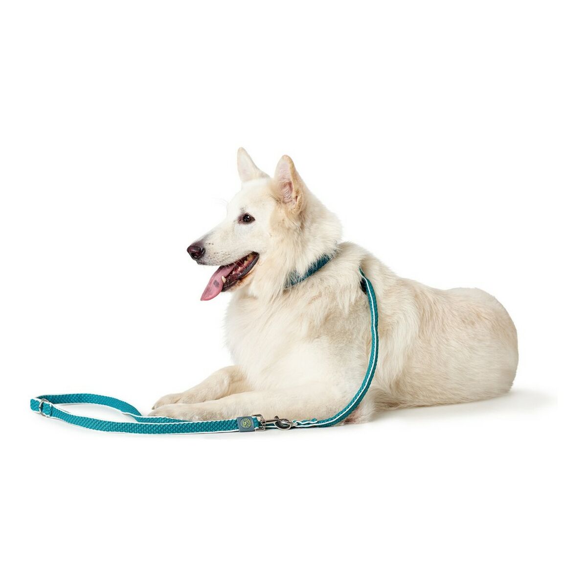 Lesă pentru câine Hunter HILO Turquoise 200 cm
