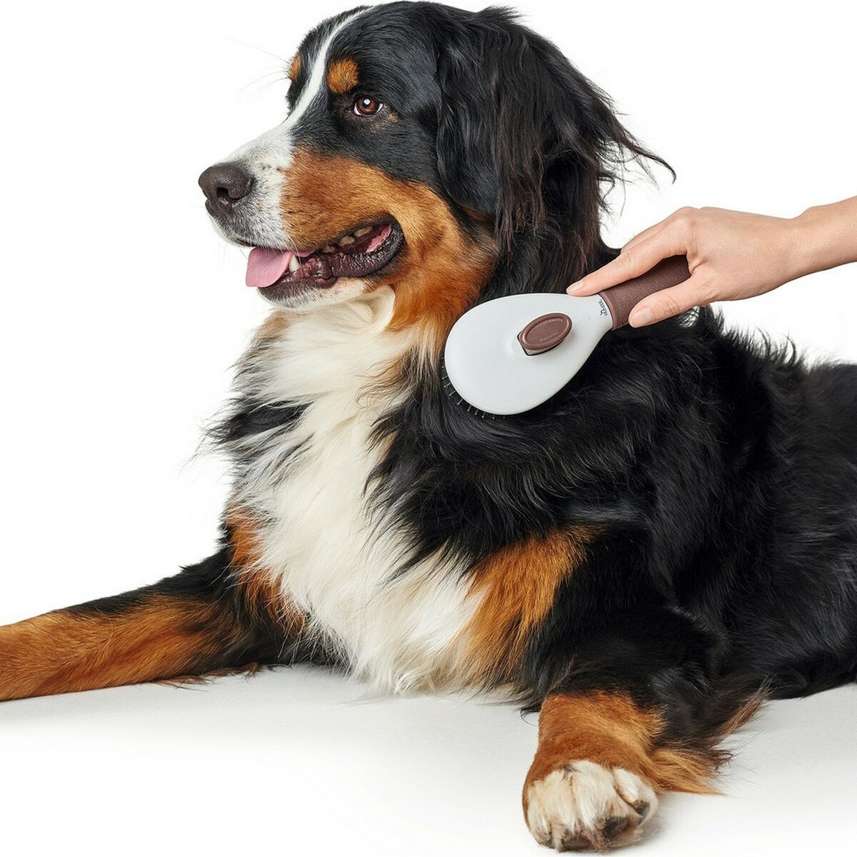 Atpainiojantis šepetys Hunter Stergere automată