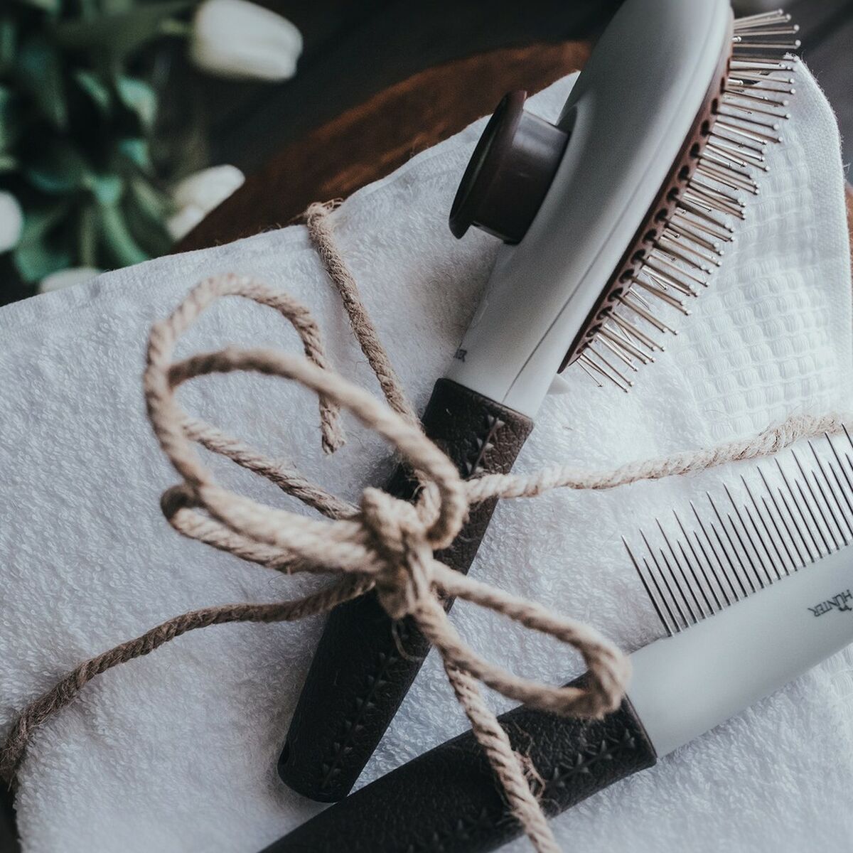 Atpainiojantis šepetys Hunter Stergere automată