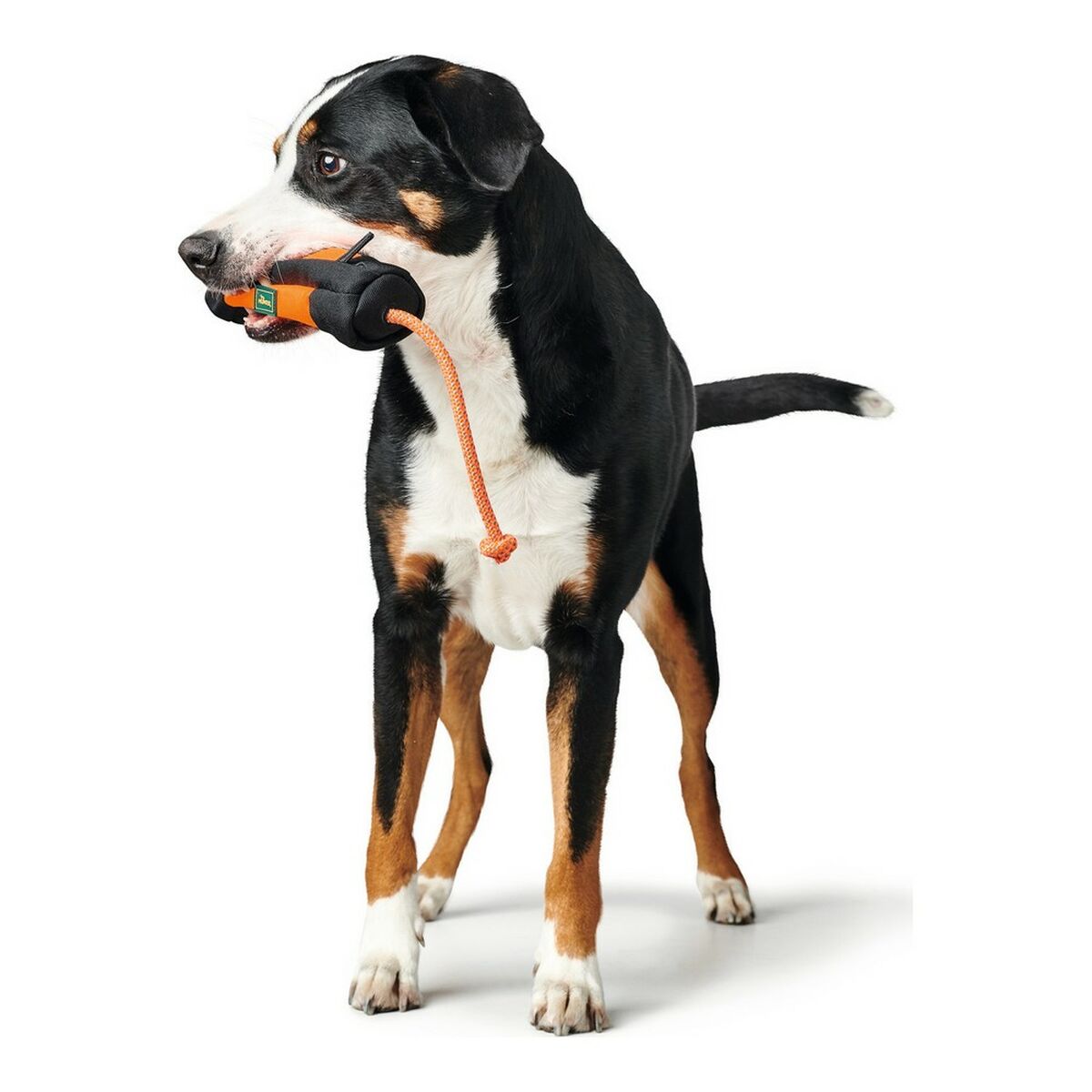 Recipient Hunter Dummy Snacks Negru Portocaliu