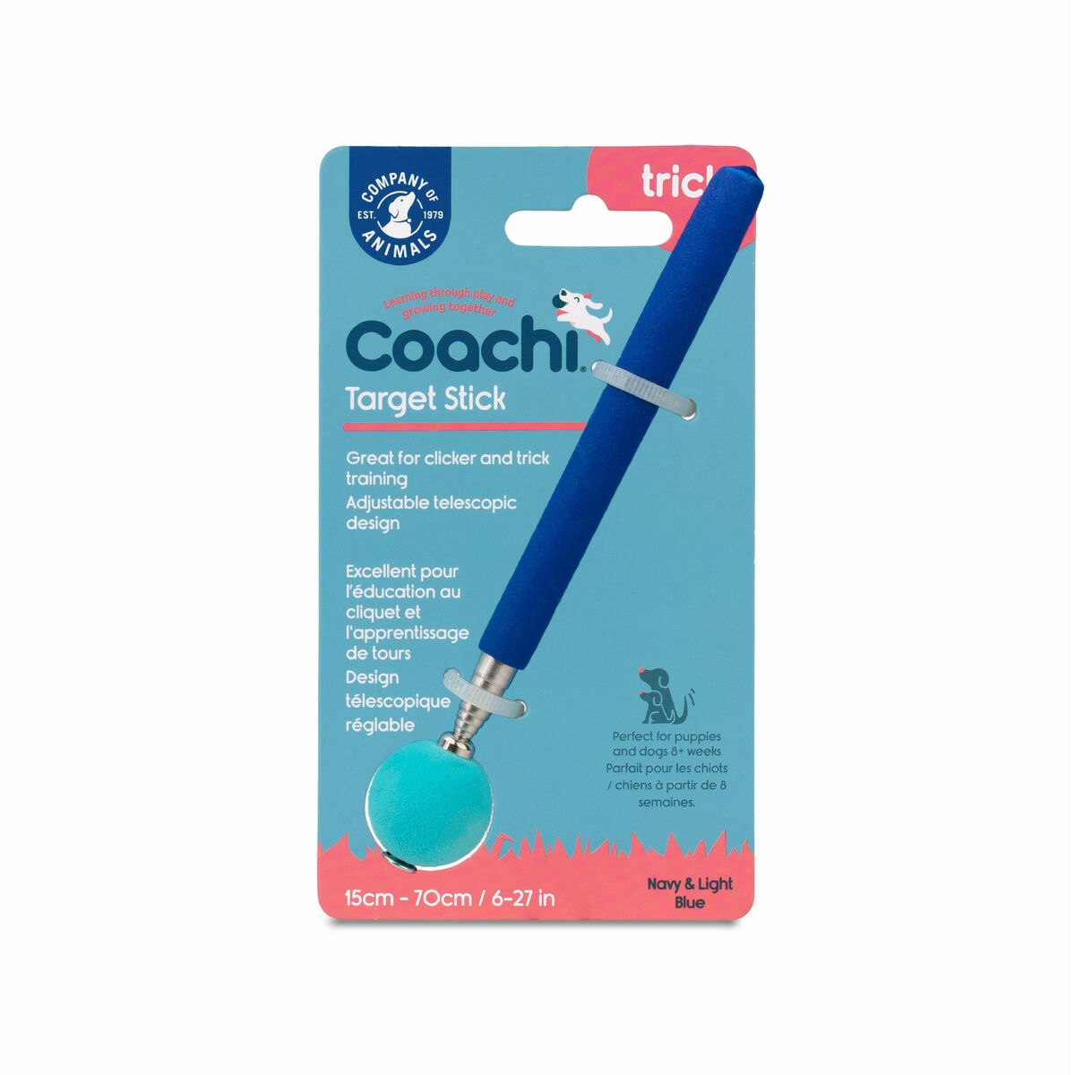 Training toy Coachi Stick Albastru