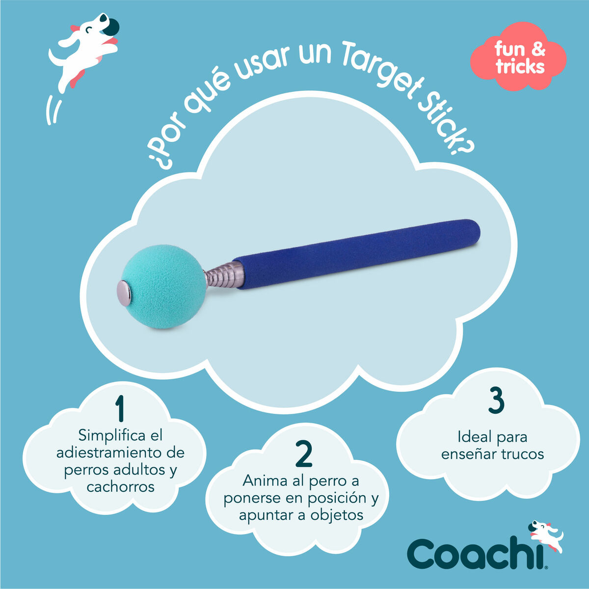 Training toy Coachi Stick Albastru