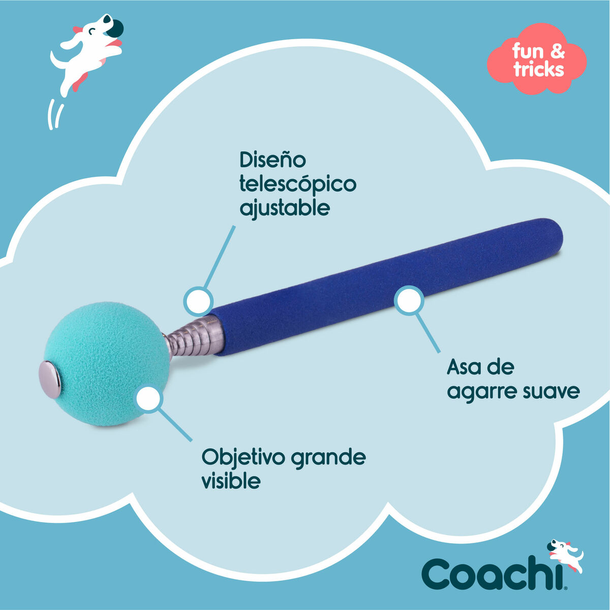 Training toy Coachi Stick Albastru