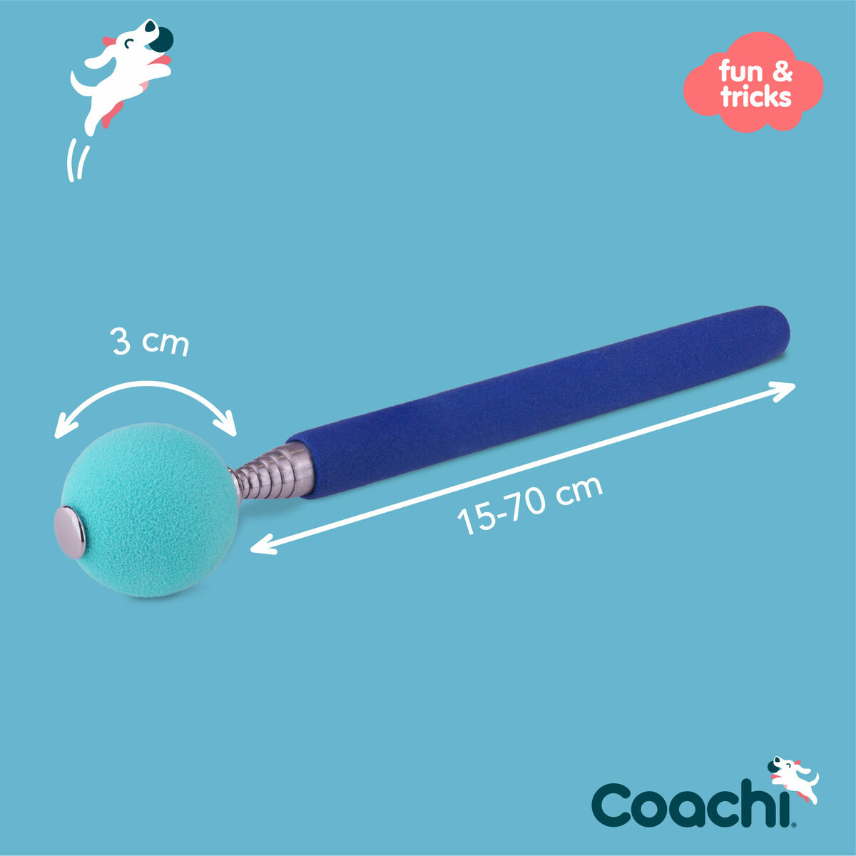 Training toy Coachi Stick Albastru