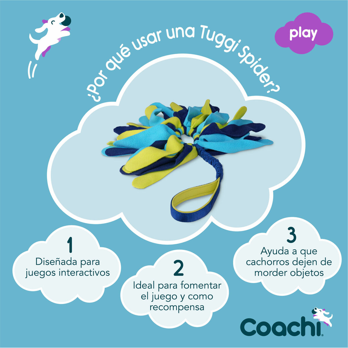 Training toy Coachi TUGGI SPIDER Albastru