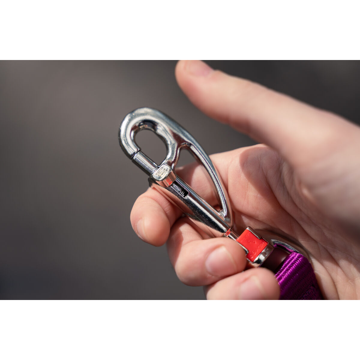 Lesă pentru câine Red Dingo Mov