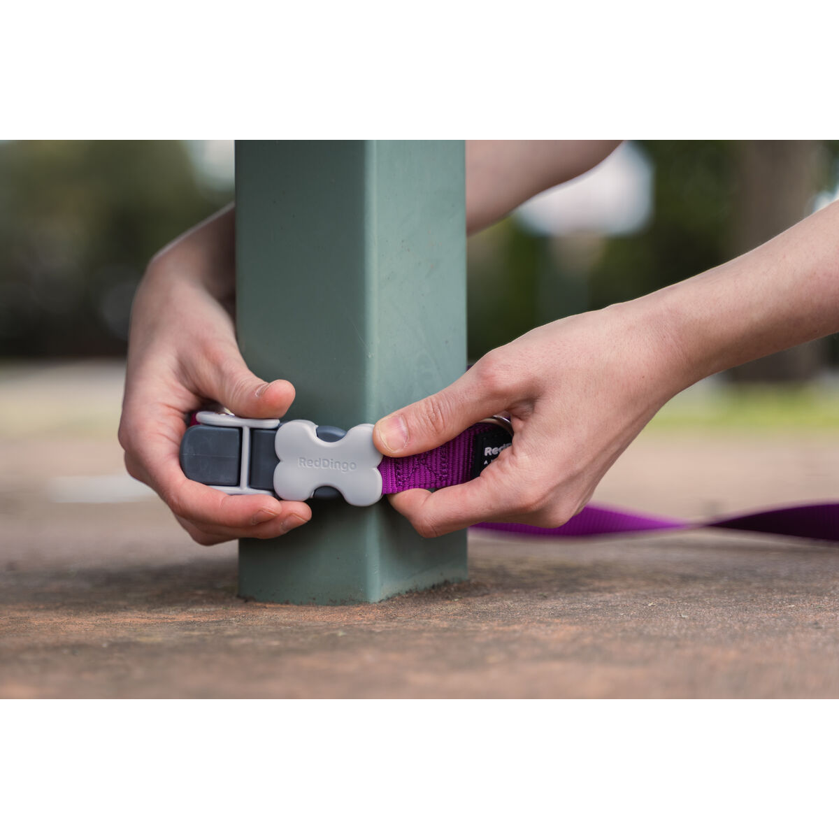 Lesă pentru câine Red Dingo Albastru