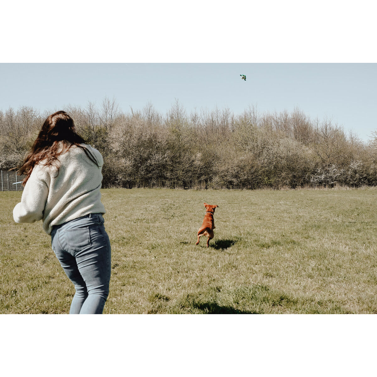 Jucărie pentru câini Hunter