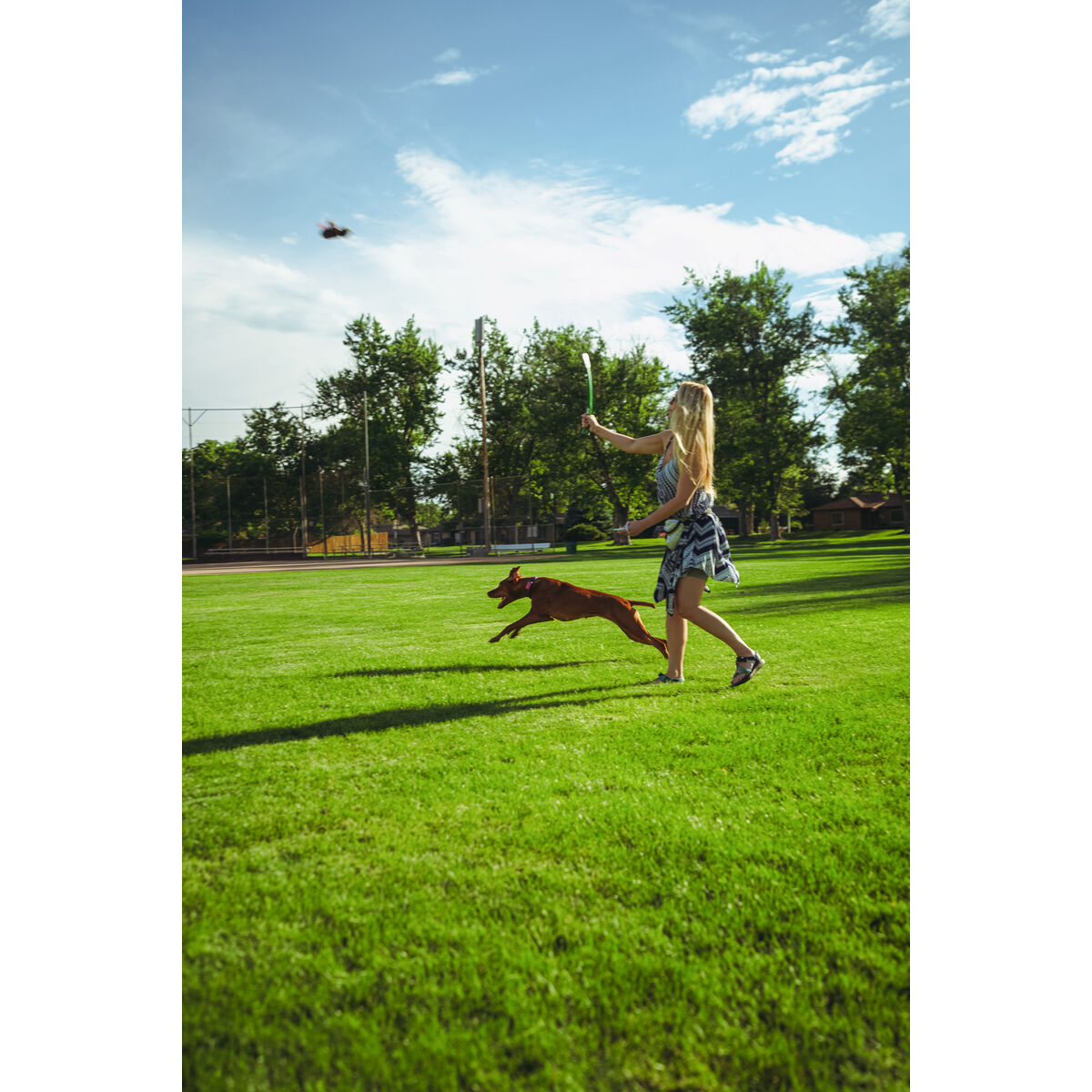 Jucărie pentru câini Hunter