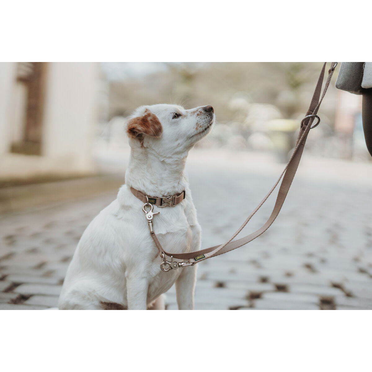 Lesă pentru câine Hunter Inari Bej 200 cm