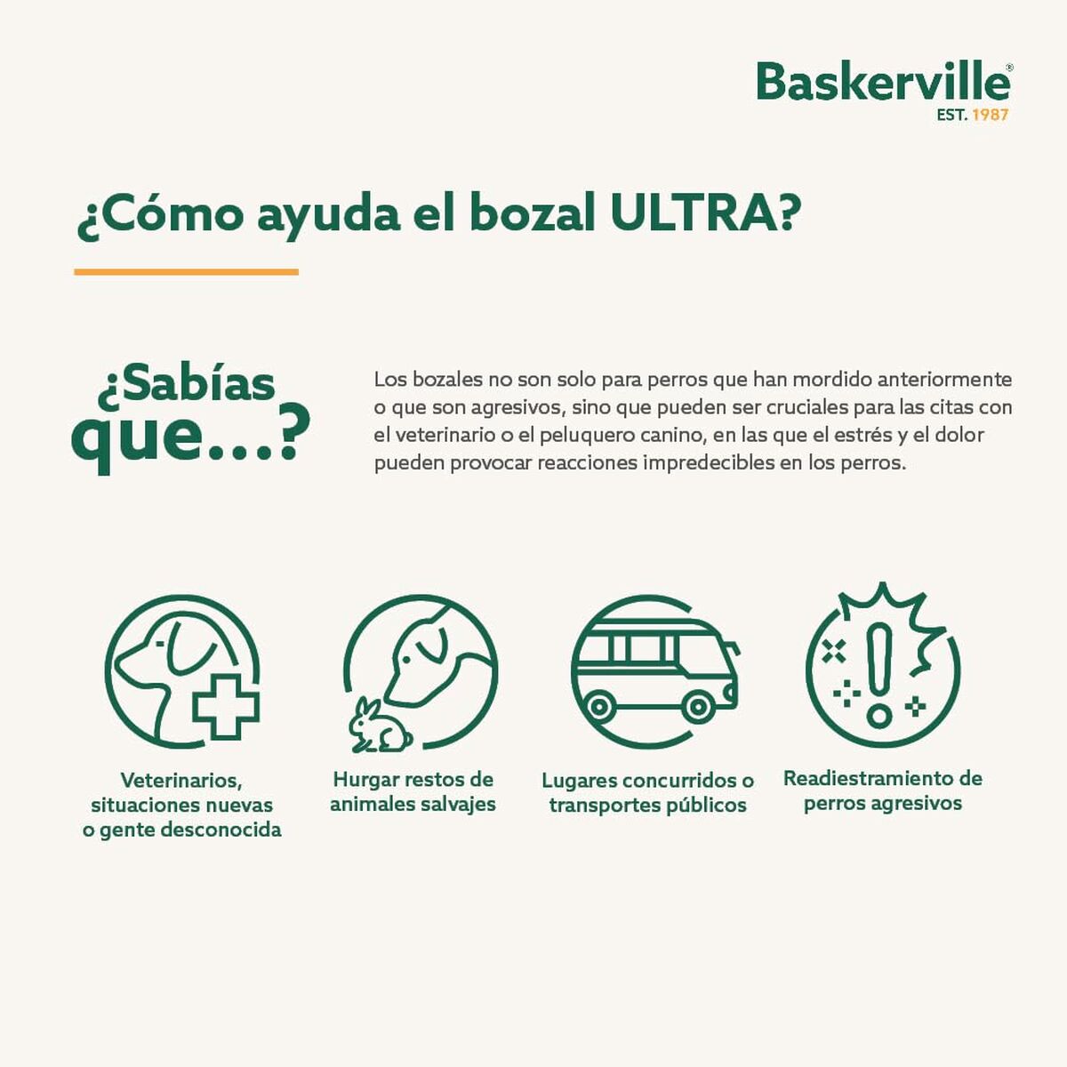 Botniță Company of Animals Negru 4