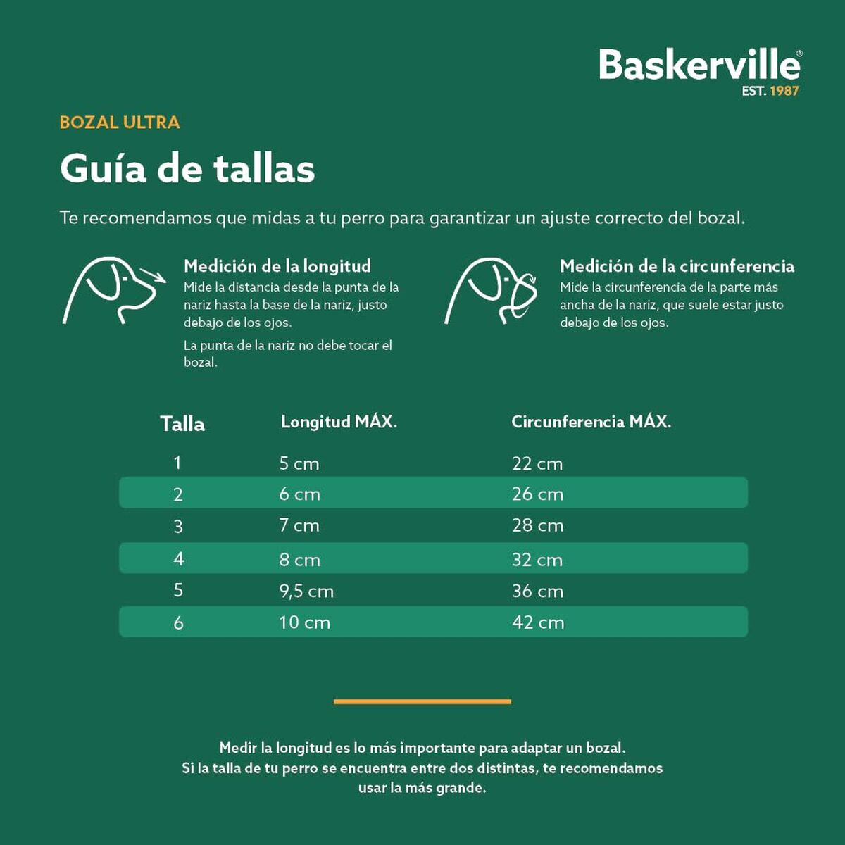 Botniță Company of Animals Negru 3