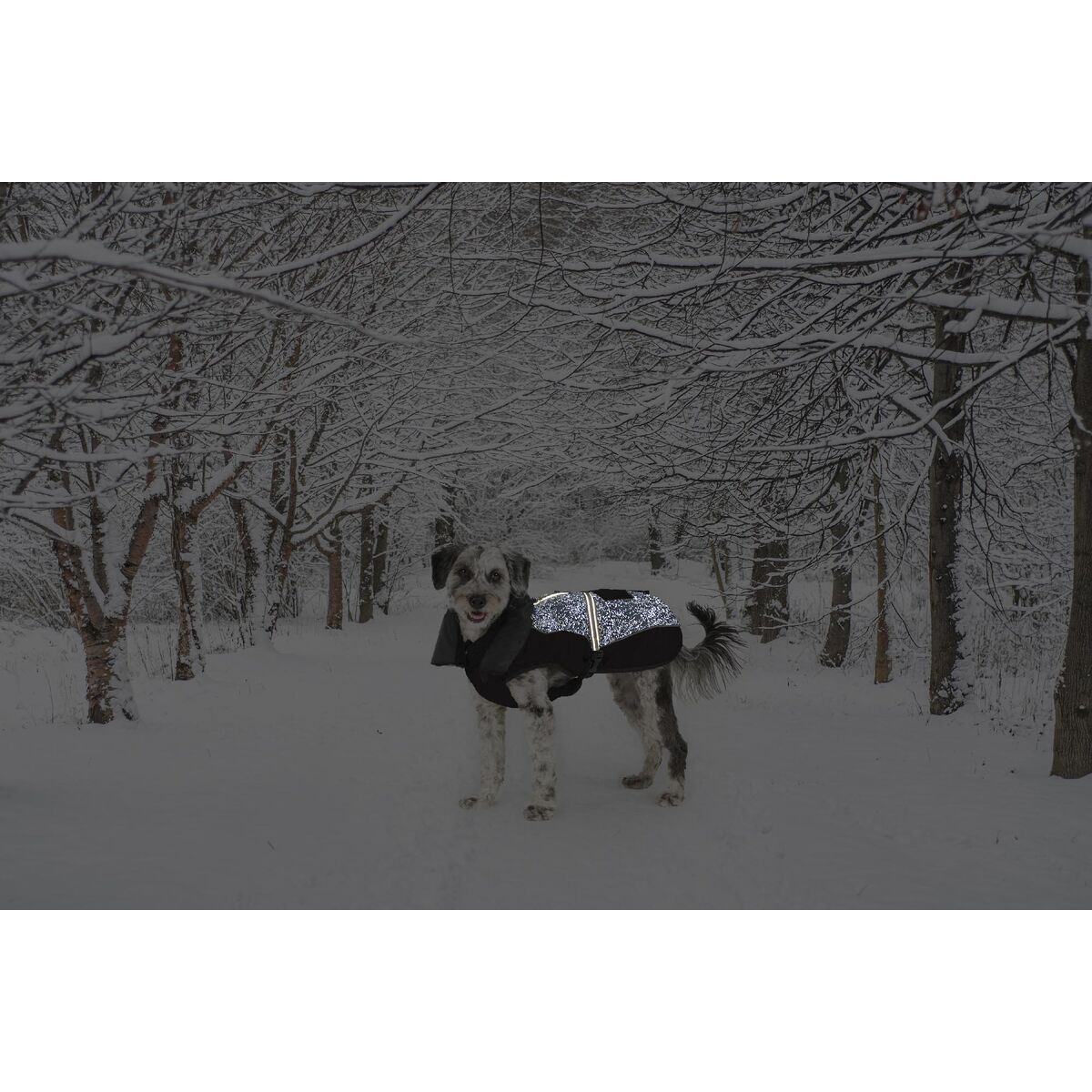 Haină pentru câine Dog Gone Smart Negru 35 cm