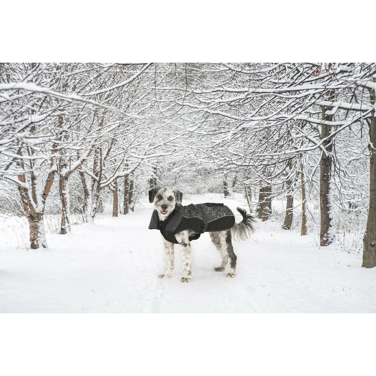 Haină pentru câine Dog Gone Smart Negru 50 cm