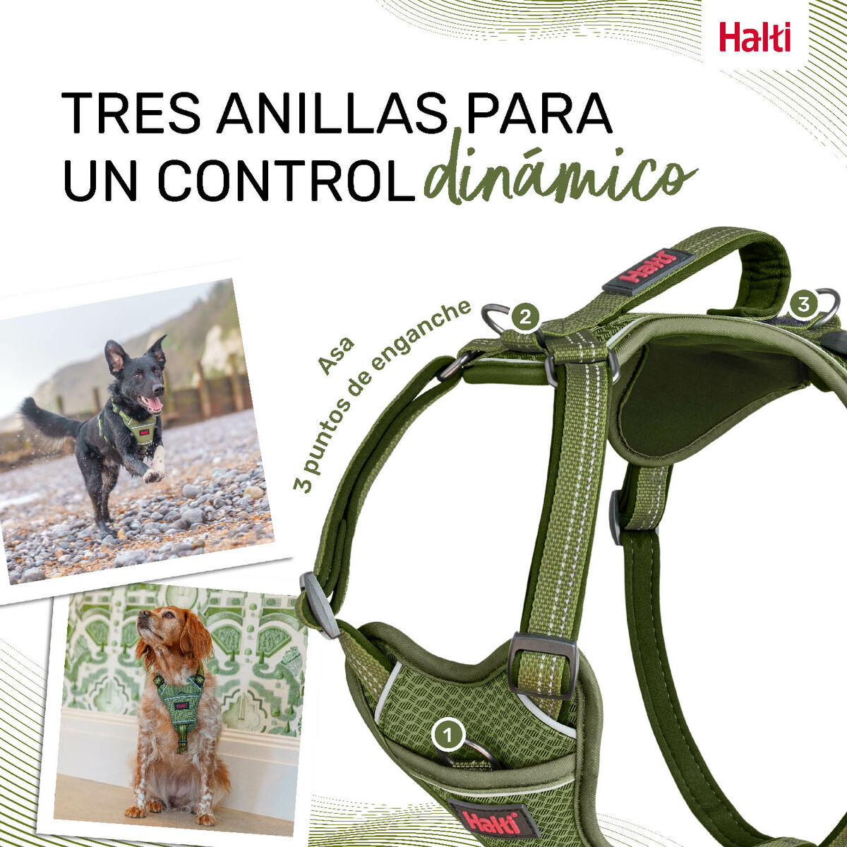 Ham pentru câini Company of Animals Verde S 28-42 cm