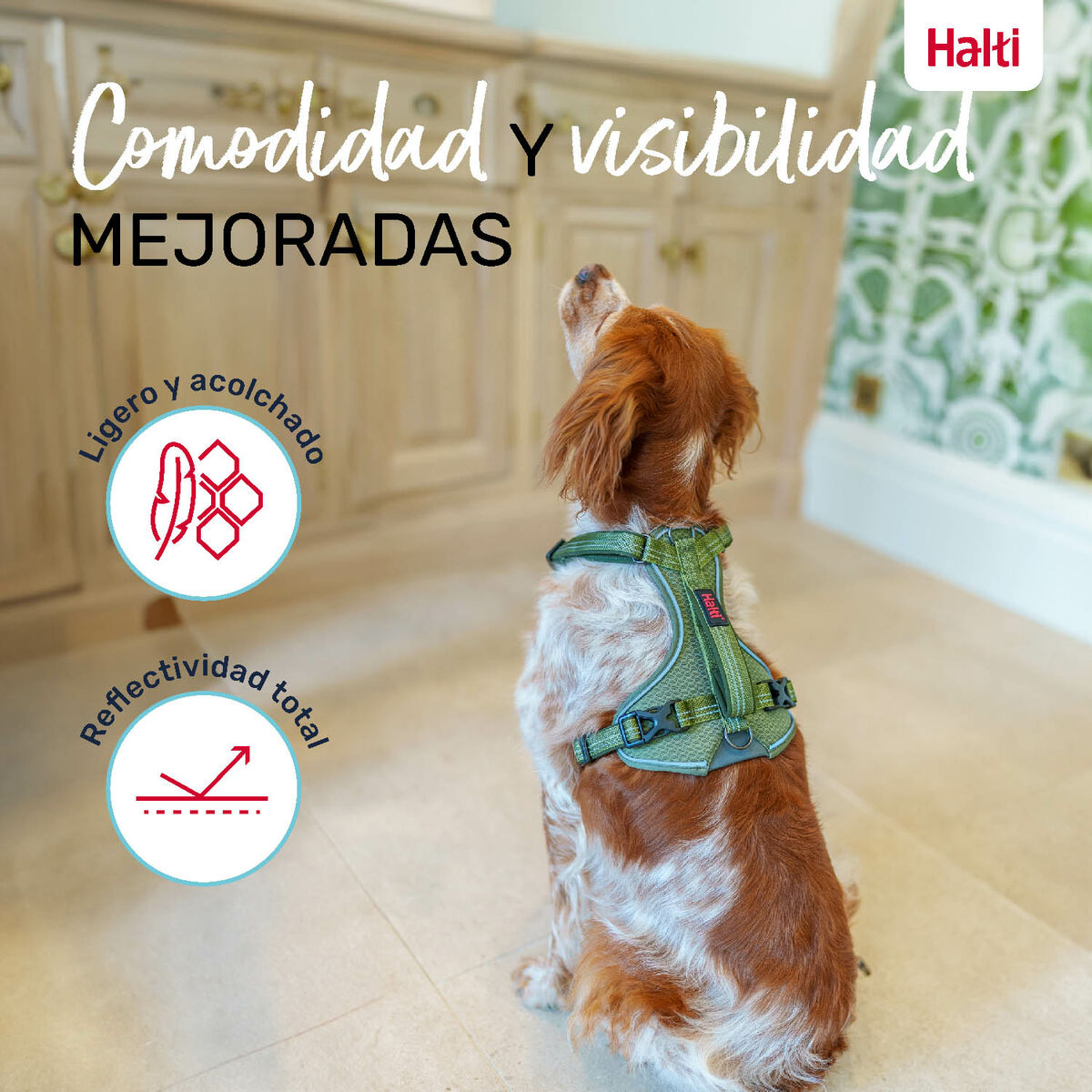 Ham pentru câini Company of Animals Verde L 42-65 cm