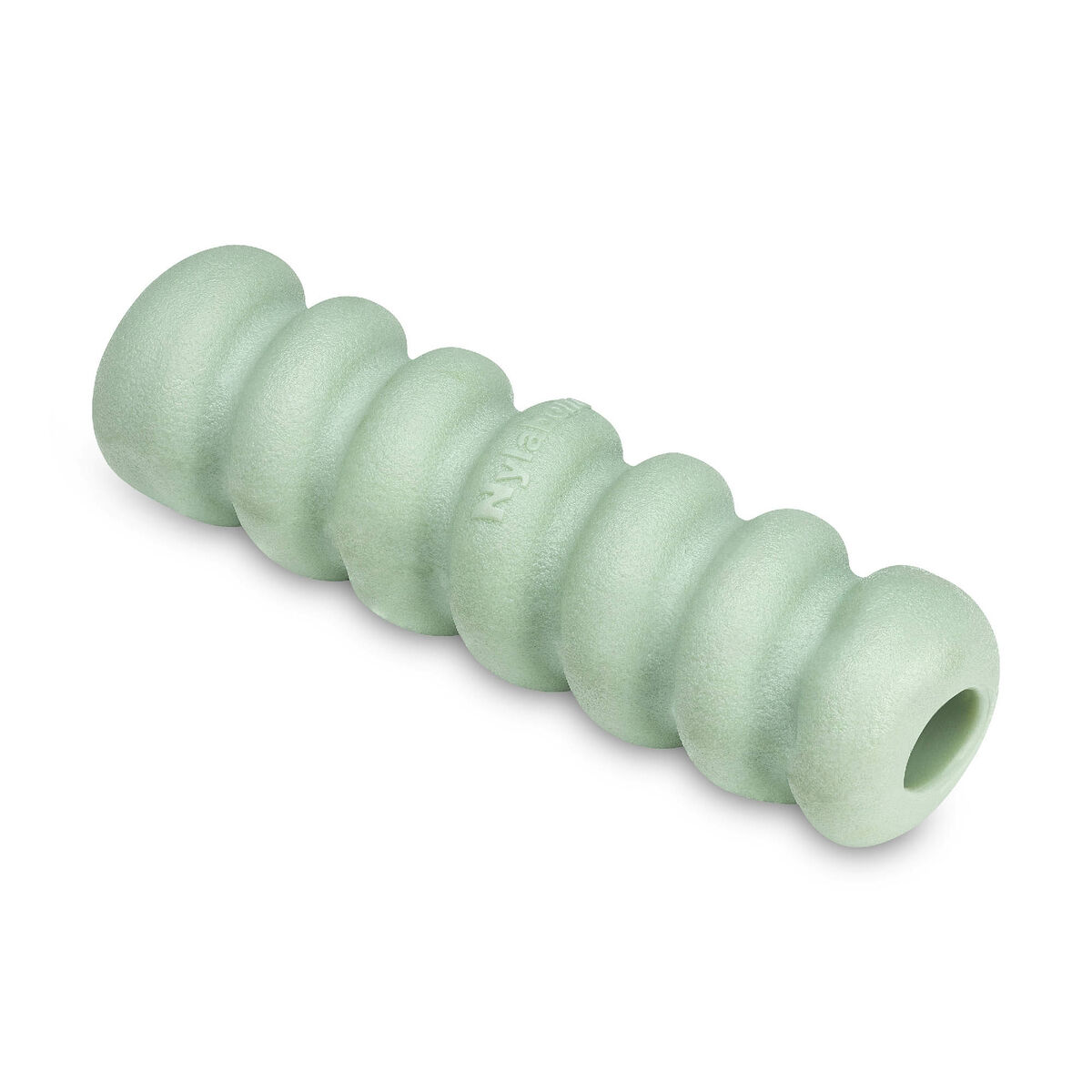 Jucărie pentru câine Nylabone SENSORY TACTILE STICK Verde Unt de arahide Bacon S